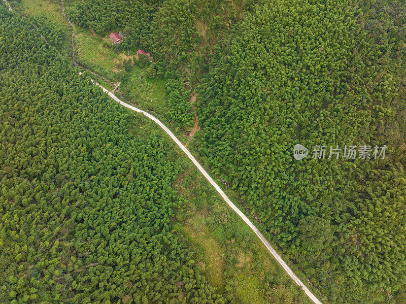 山路在山间