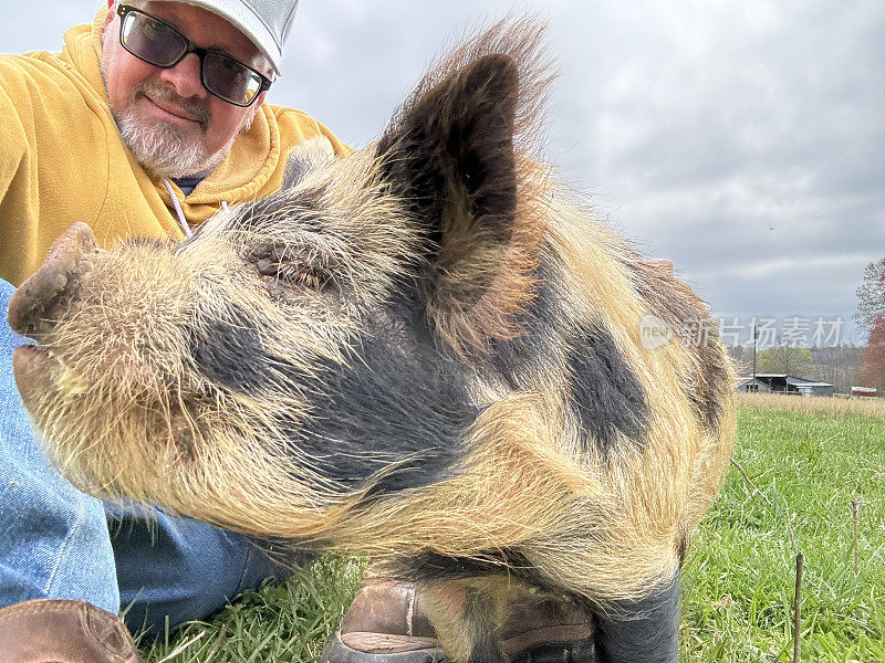 一个低角度特写，快乐的斑点猪在一个坐在绿色牧场上的农民面前微笑。闭上眼睛。有问题。满足情感