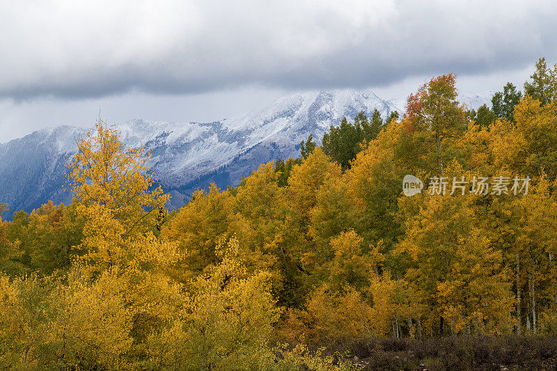 秋天的Kebler山口