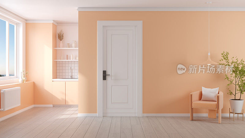 桃色绒毛房，现代简约厨房房内部，桃色漆墙配扶手椅。2024年度色彩，3d渲染