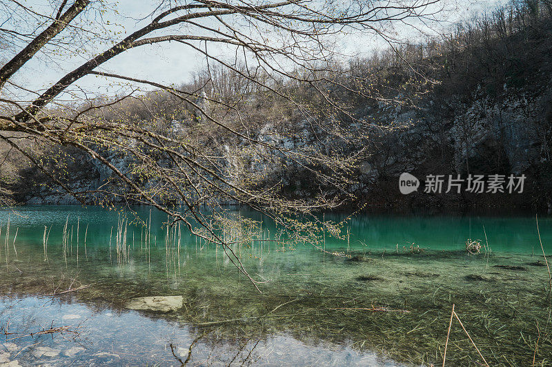 翡翠色湖的Plitvice