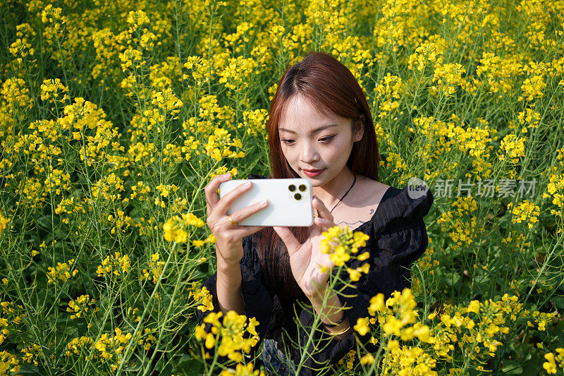 女人在给花拍照