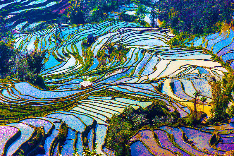 中国南方的稻田被淹