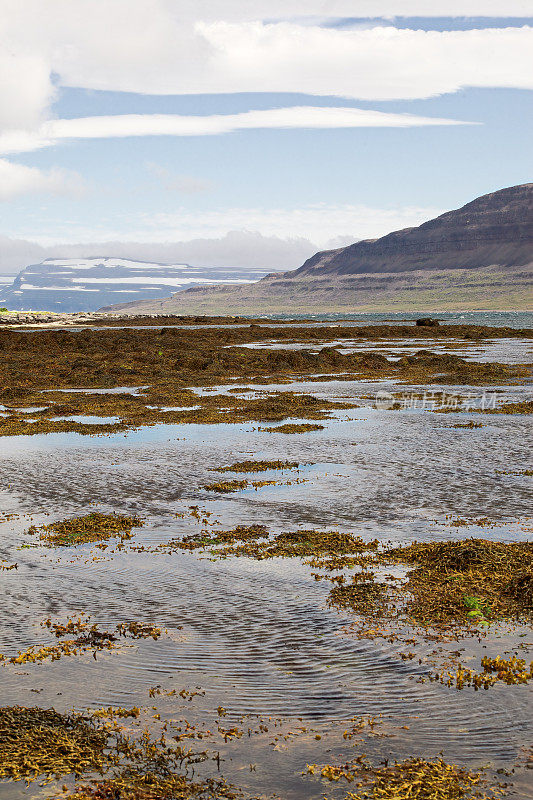 西峡湾的海岸线全景。冰岛。