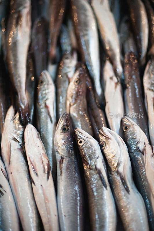 克罗地亚市场上的鱼