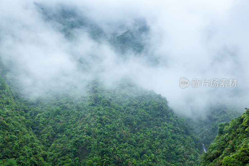 中国森林茂密，多雨多雾的雨季。