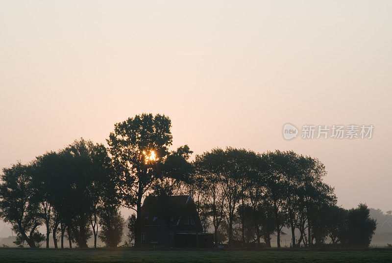 圩田中的日出