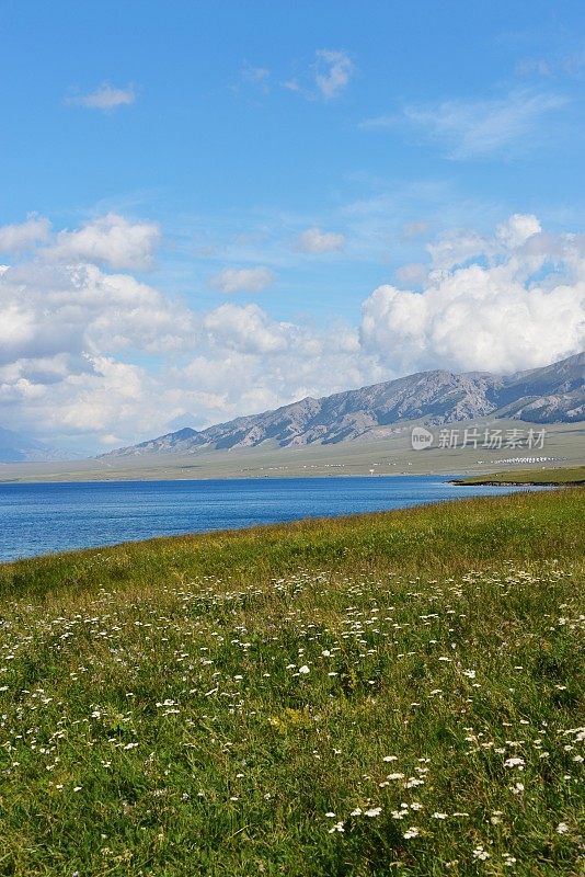 新疆西里木湖风光