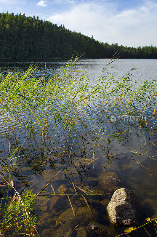 斯堪的纳维亚的湖景