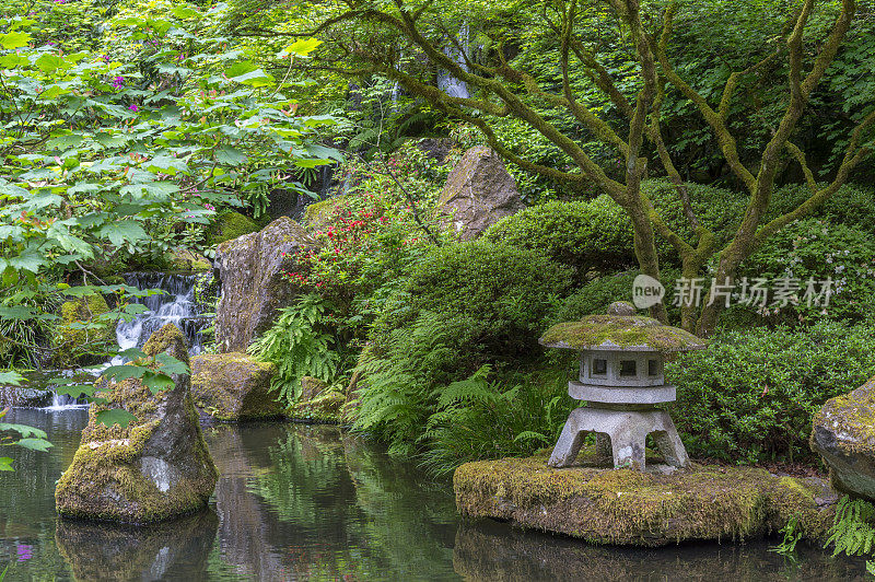 波特兰日本花园池塘石灯笼在岸边附近的瀑布