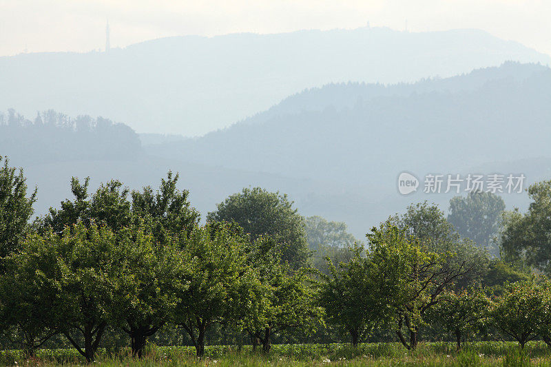 夏天的风景