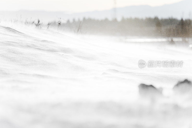 暴风雪