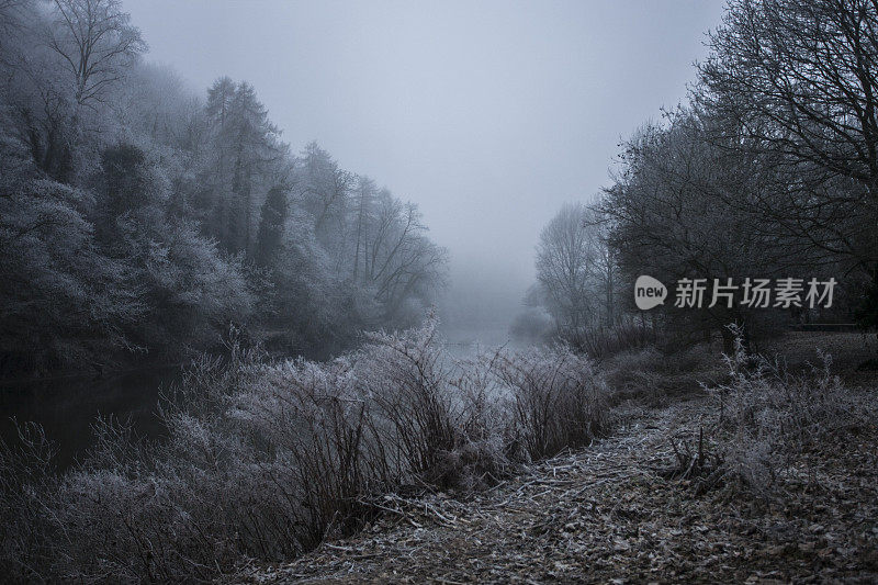 冬天的场景