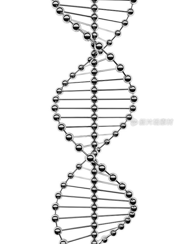 银金属分子DNA
