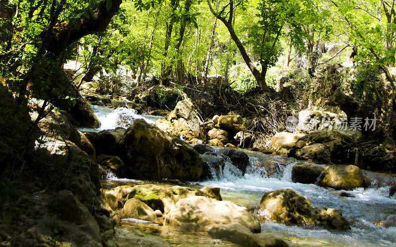 土耳其森林和瀑布。