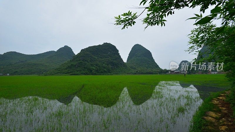 岩溶地区湿地02