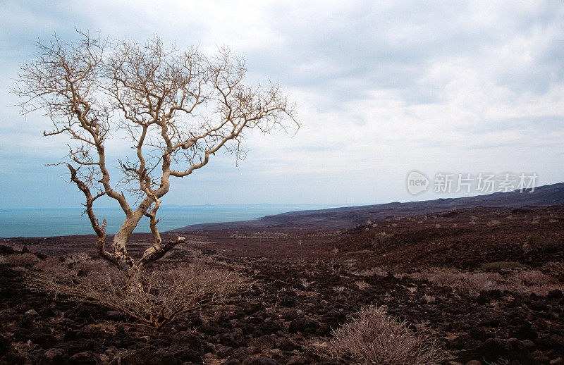 火山景观(肯尼亚)