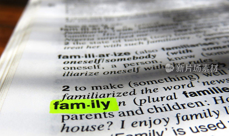 家庭,字典的定义