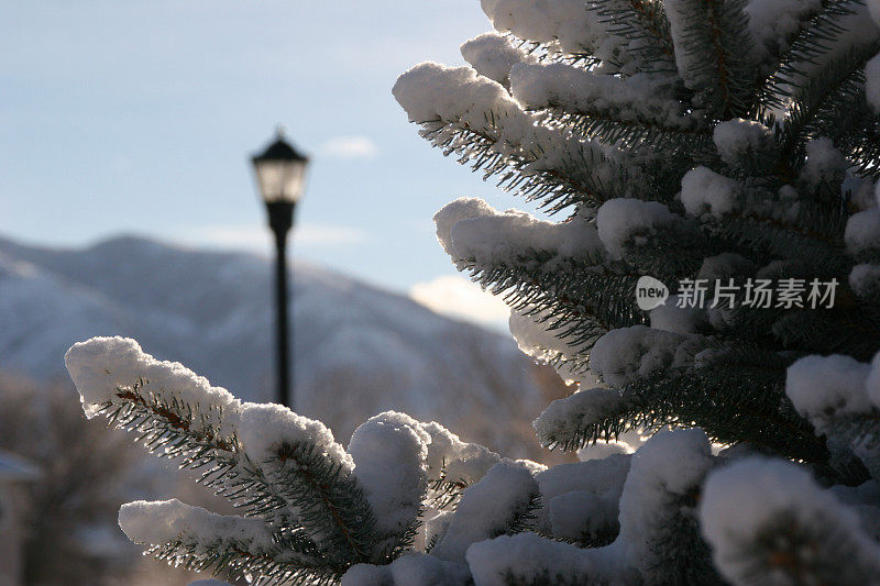 雪后的太阳