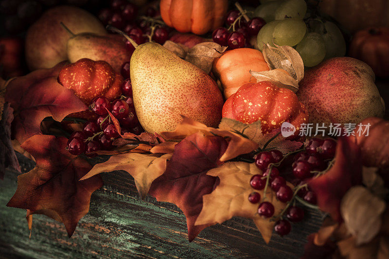 秋天装饰背景与树叶