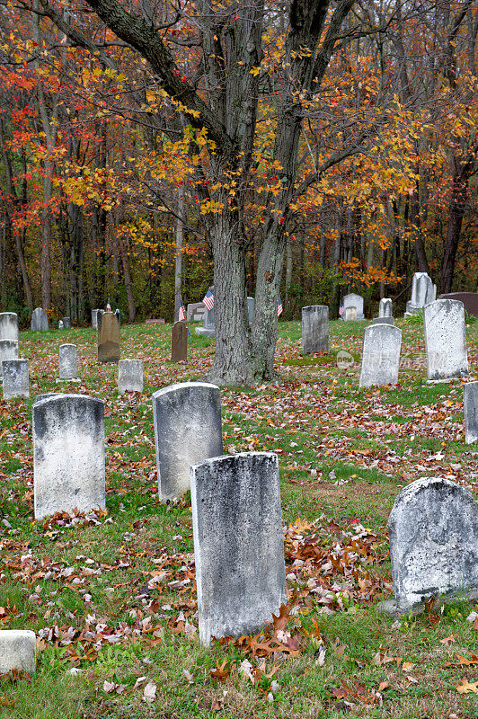 秋天树林里的老墓地背景