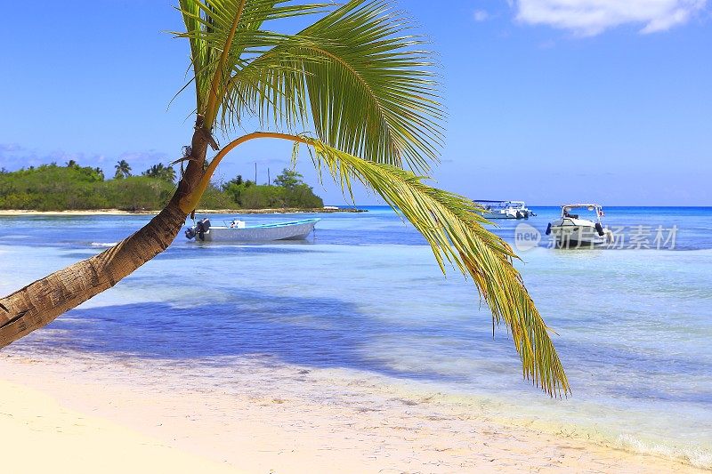 热带天堂:绿松石海滩，小船，孤独的棕榈树