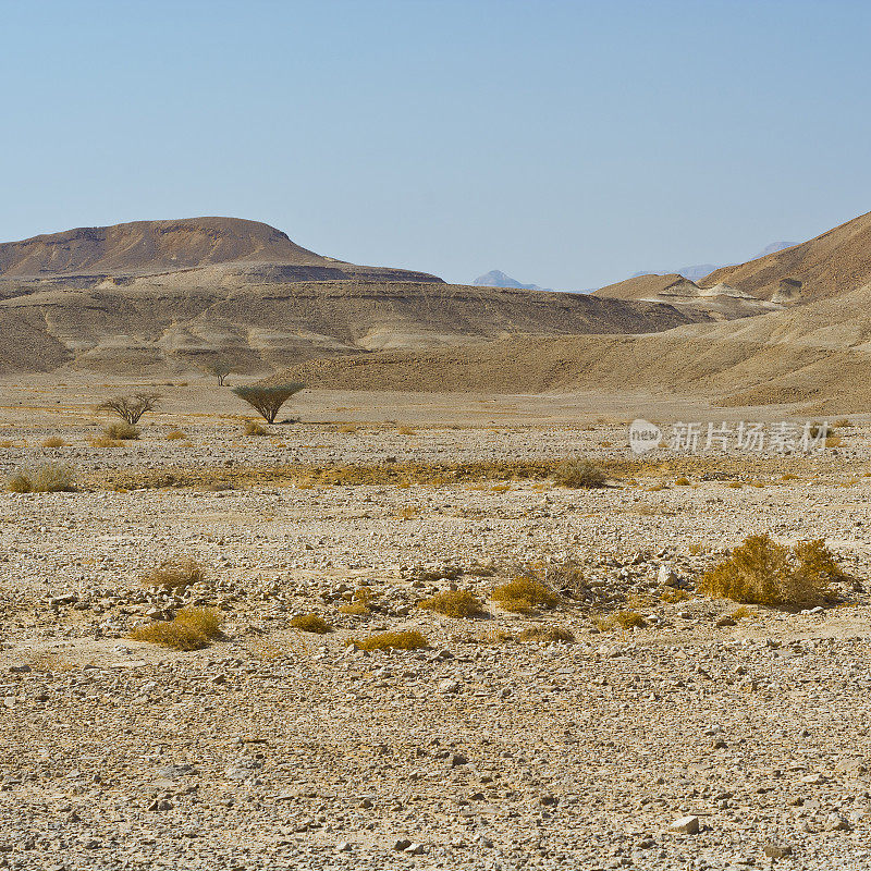 沙漠的孤独和空虚
