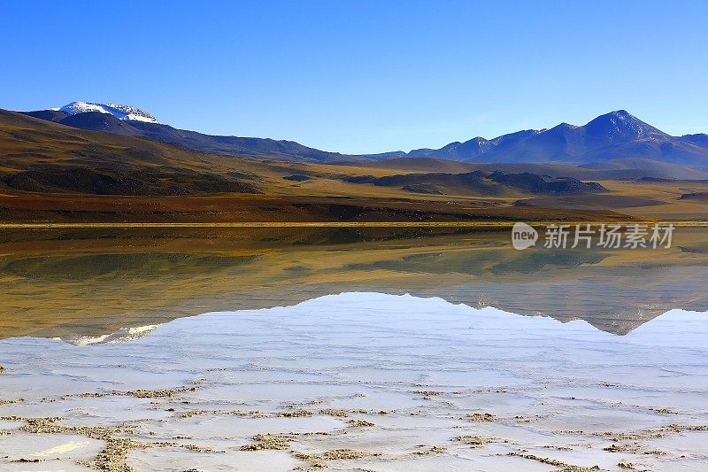 拉古纳-图亚克托湖和Miniques火山-绿松石湖盐反射和田园般的阿塔卡马沙漠，火山景观全景-圣佩德罗德阿塔卡马，智利，Bolívia和阿根廷边境