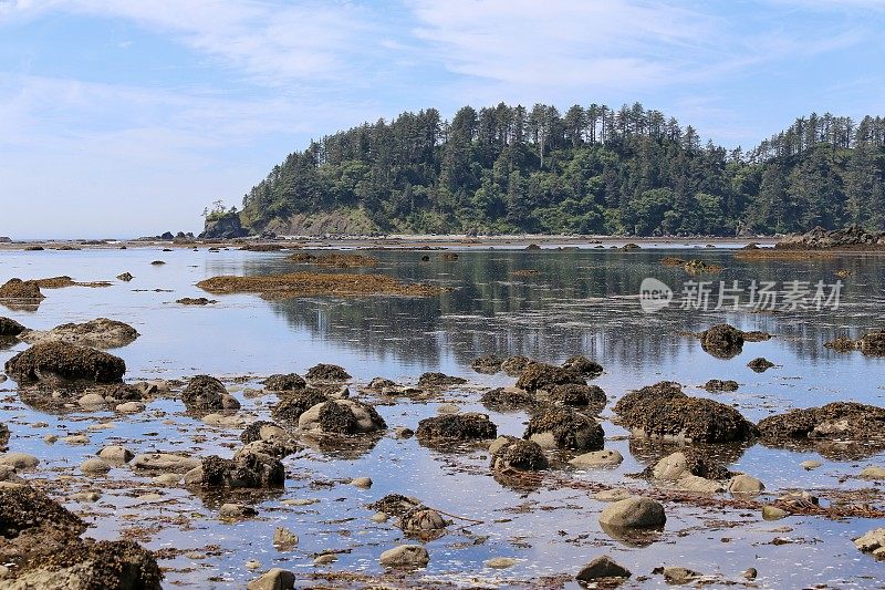 宁静的角阿拉瓦，奥林匹克海岸，华盛顿，海藻，岩石，天空反射