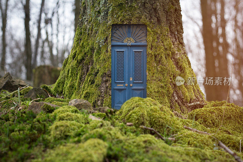 树里面的童话房子