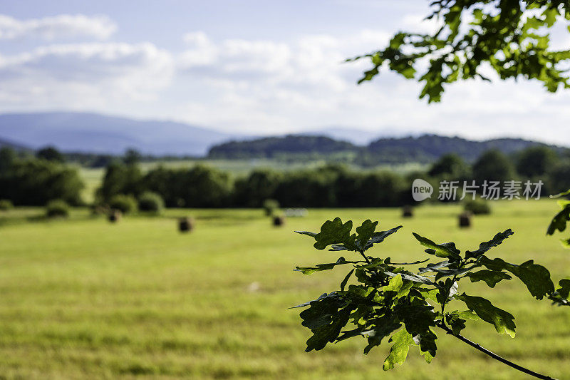 全景山景城