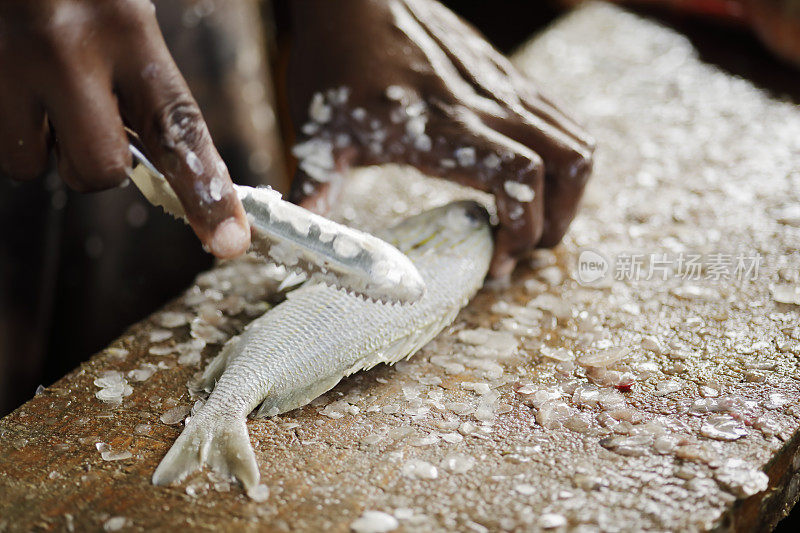 在安提瓜和巴布达的鱼市场准备出售新鲜的鱼