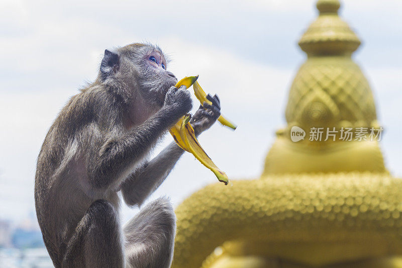 马来西亚吉隆坡