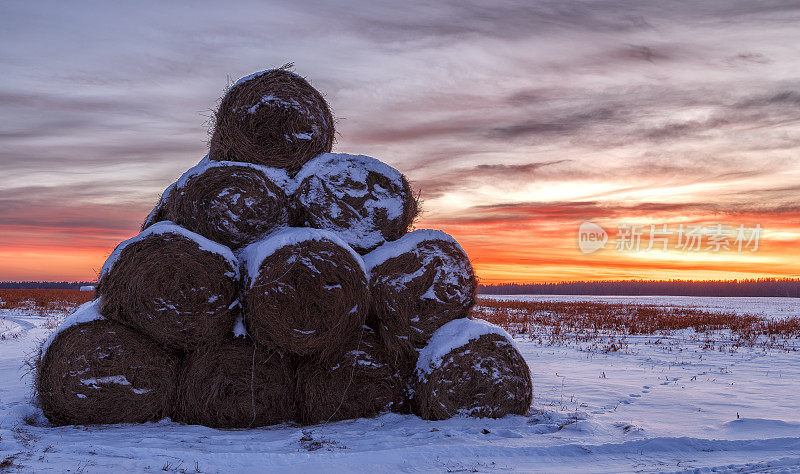 冬天的景观，在日落的时候，在田野里看到被雪覆盖的稻草包