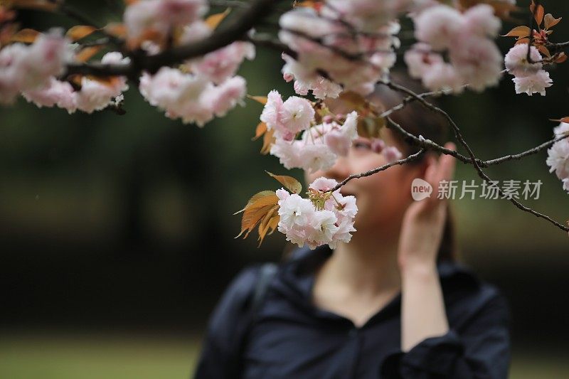 年轻女子欣赏樱花