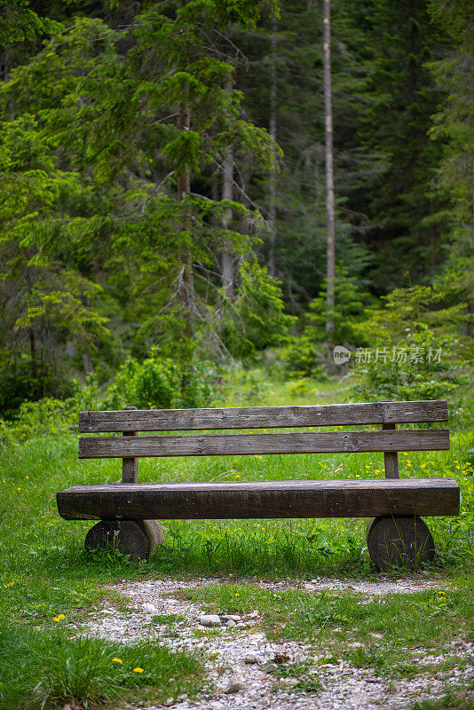 奥地利草地上的长凳