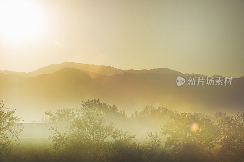 朦胧的日出在海角酒乡清晨剪影树和山的景色