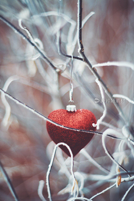 心形的圣诞装饰在雪地的树枝上