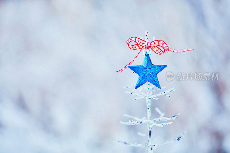 圣诞树与蓝星户外在下雪的天气