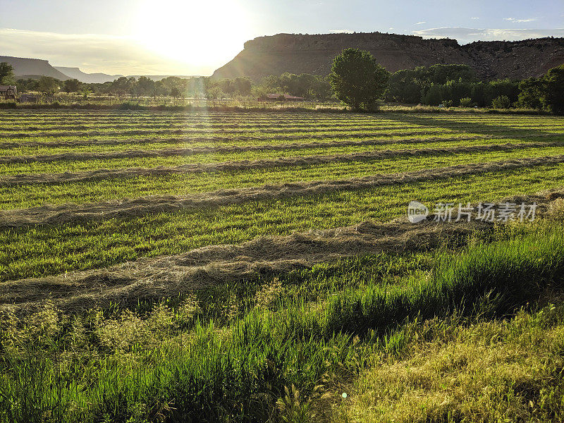 犹他州罗克维尔附近的维珍河罗克维尔梅萨牧场上新割下的干草和西部维珍河谷的夕阳