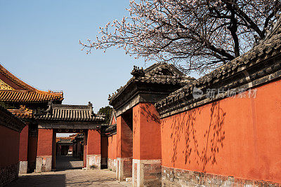 春天北京紫禁城