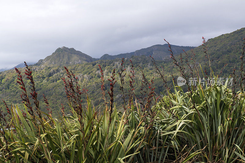 沿伊丽莎白角步行道的风景