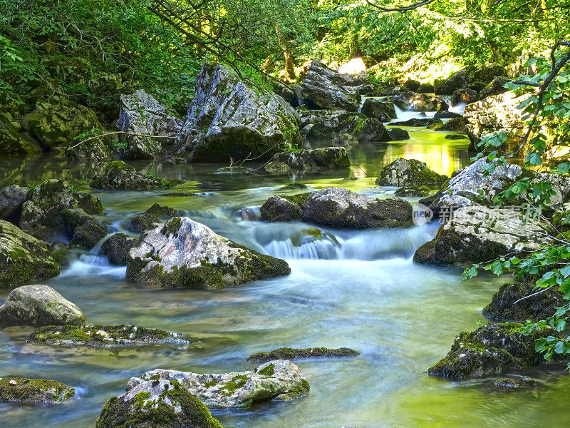 森林流