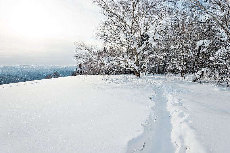 雪山中的小径