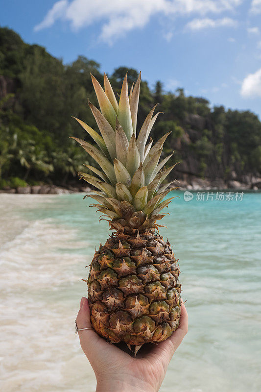 在沙滩上牵着菠萝