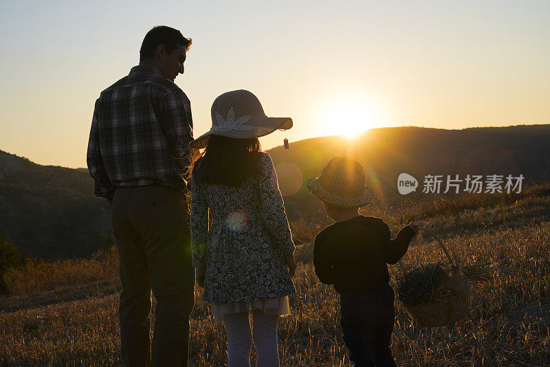 父亲，男孩和女孩在麦田里散步。父亲和幸福的孩子们在大自然中散步