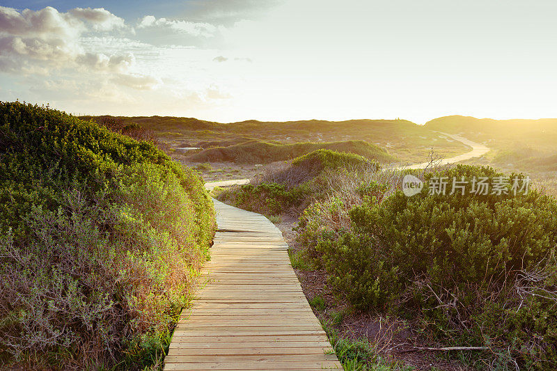 蜿蜒穿过南非草地覆盖的沙丘的木制小路