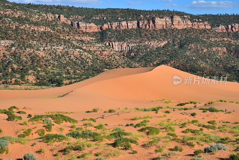 珊瑚粉沙丘州立公园