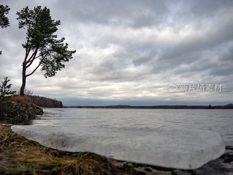 在一个多云的春日，高大的松树在Saimaa运河的石堤上