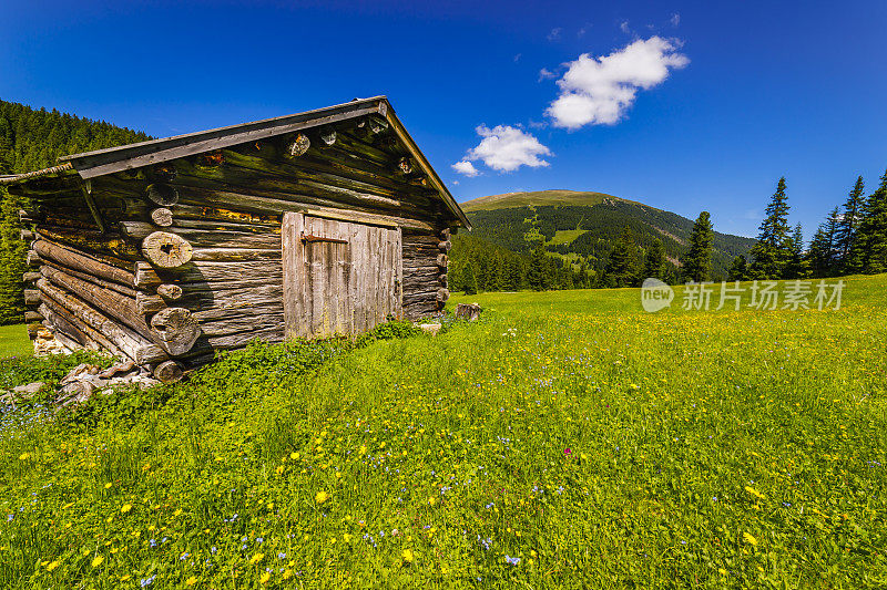 谷仓在田园诗般的阿尔卑斯风景-瓦尔迪富内斯，白云石阿尔卑斯-意大利